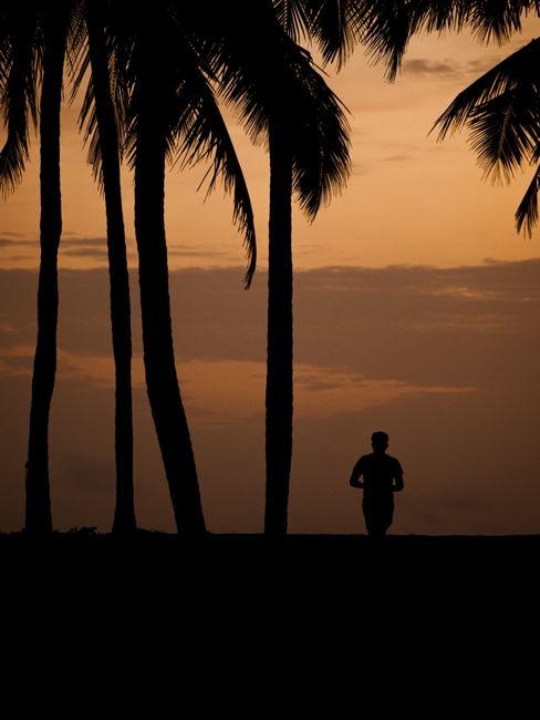 Bali Tours: scenarios